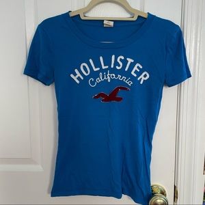 Hollister Blue Seagull Graphic Short Sleeve T Shirt
